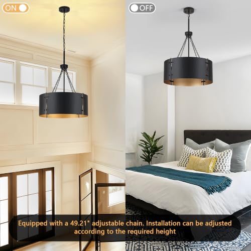 19.68'' Drum Chandelier 5