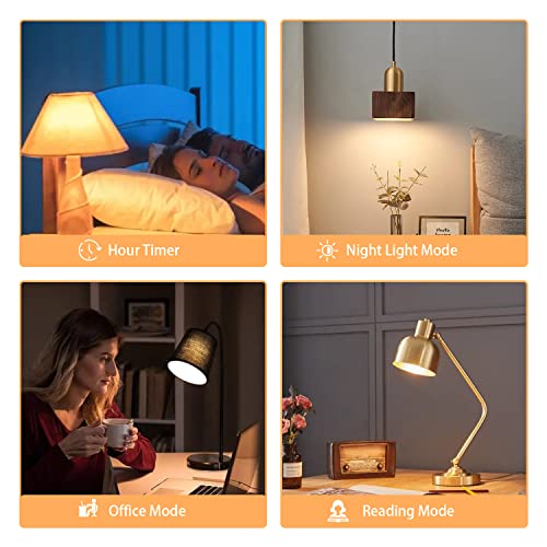 A19 LED Light Bulbs with Remote Control