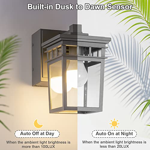 Outdoor Wall Sconce
