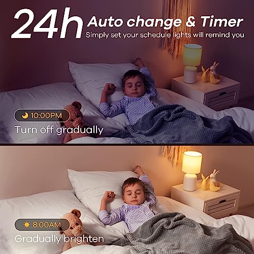 Matter Smart Light Bulb (3 Count)