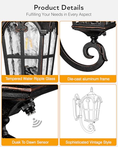 Outdoor Wall Light