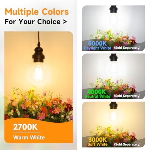 A19 Vintage LED Edison Bulbs Dimmable 60W Equivalent High Brightness (4 Count)