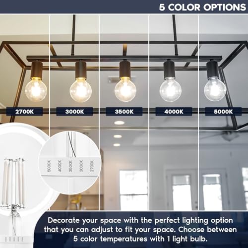 Vintage G25 LED Light Bulb 60 Watt Equivalent (12 Count)