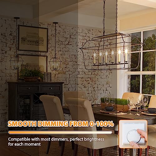 E12 Candelabra LED Light Bulbs (12 Count)