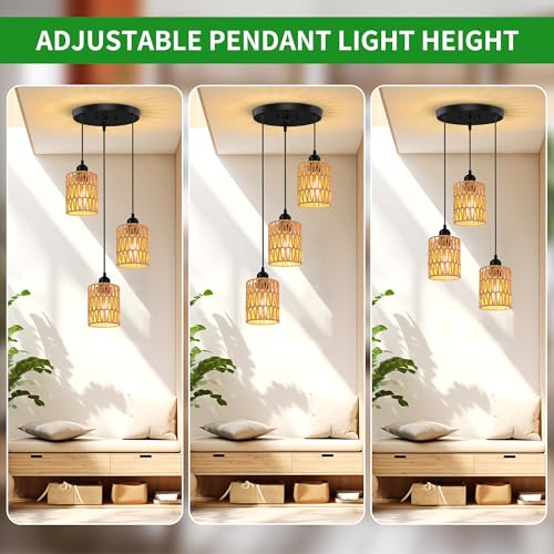 3 Light Pendant Lighting