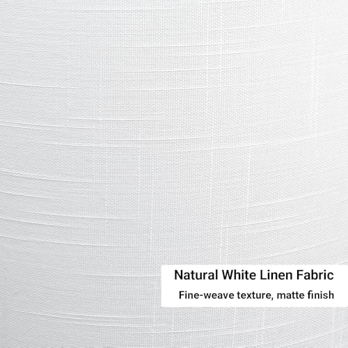 White 13" Drum Lamp Shades Set of 2 with Harps (2 Count)