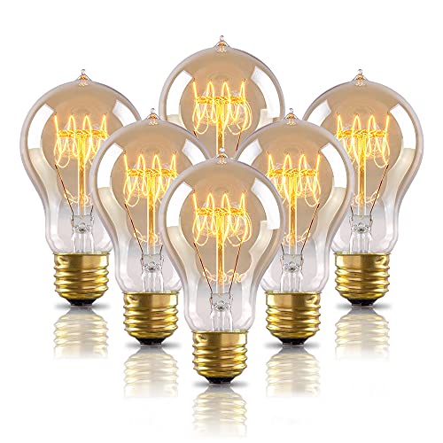 Warm Edison Light Bulbs (6 Count)