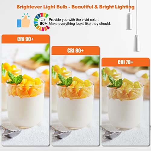 LED Light Bulbs (4 Count)