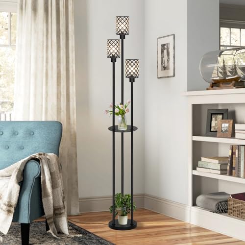 Gold Floor Lamps for Living Room (Black)