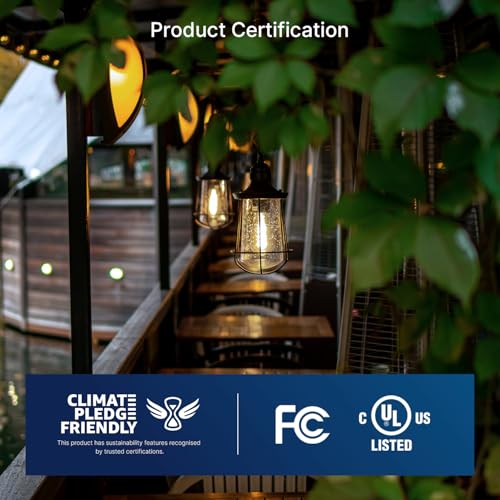 100W Equivalent LED Edison Bulbs (6 Count)