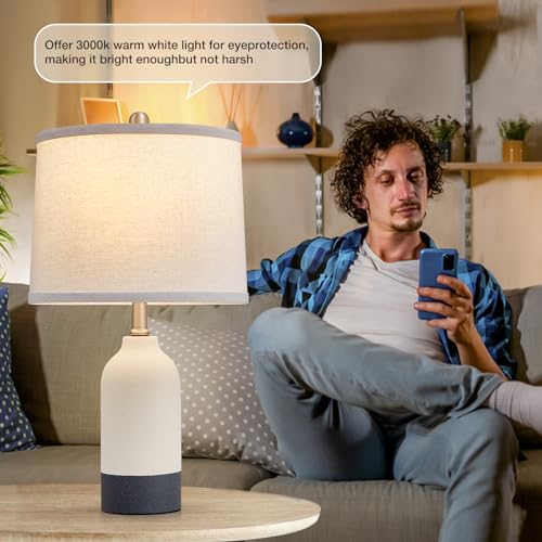 Ceramic Table Lamp Set of 2 (2 Count)