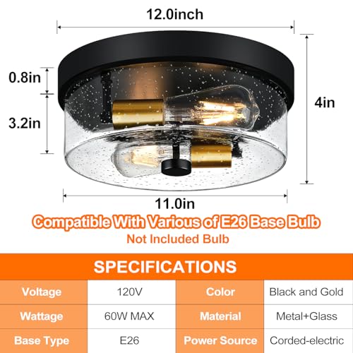 Flush Mount Ceiling Light Fixtures