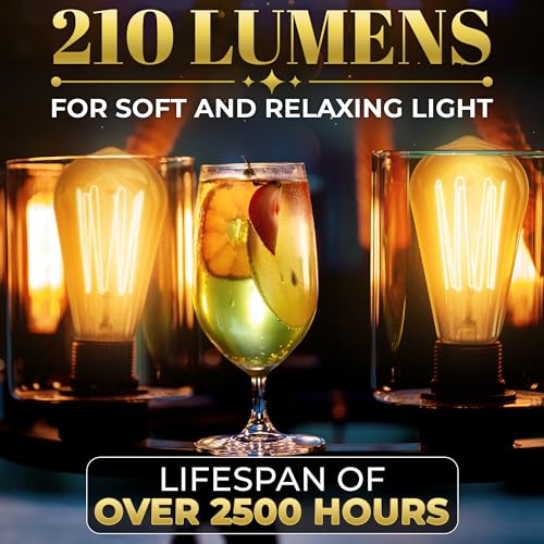 4 Pack Vintage Edison Bulbs (4 Count)