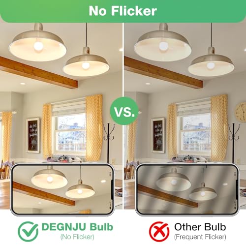 A19 Light Bulbs (12 Count)