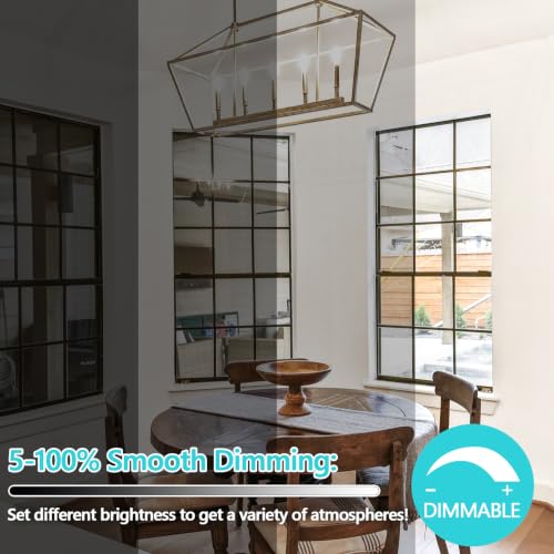 LED Candle Bulbs 100W Equivalent Dimmable (6 Count)