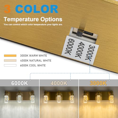 Vanity Light with 3 Color Modes