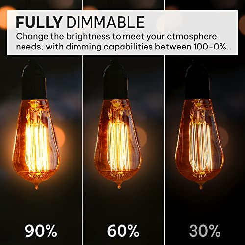 Vintage Incandescent Edison Light Bulbs (4 Count)