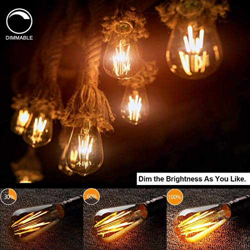 LED Edison Bulbs (4 Count)
