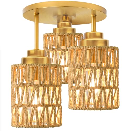 Semi Flush Mount Ceiling Light