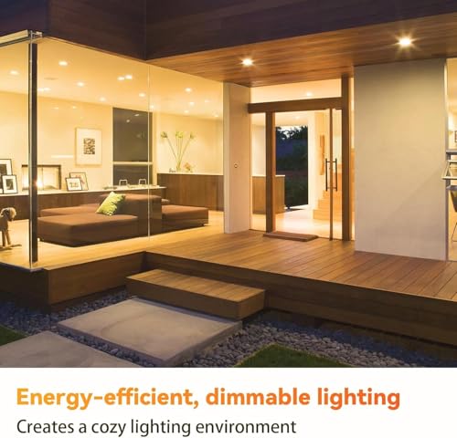 6 Pack BR30 Flood Light Bulb Indoor (6 Count)