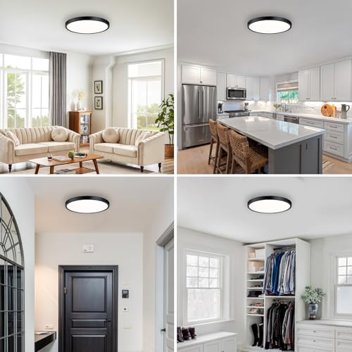 Flush Mount Ceiling Light Fixture (2 Count)