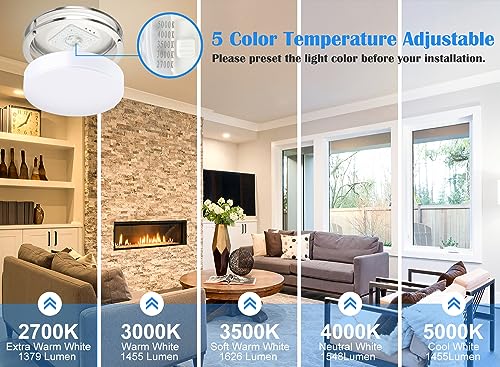 2Pack 13 Inch Oval LED Ceiling Lights