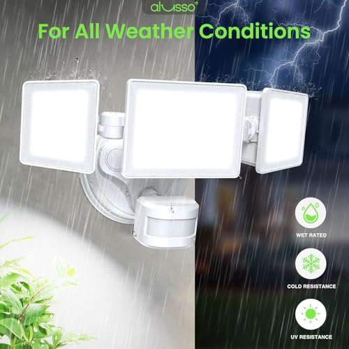 Motion Sensor Outdoor Lights