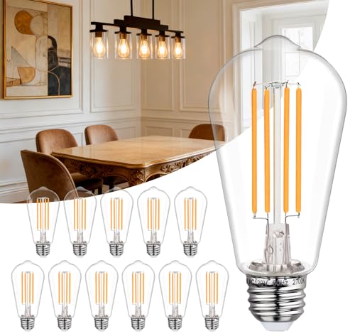 12Pack ST58 19 Vintage LED Edison Bulbs (12 Count)