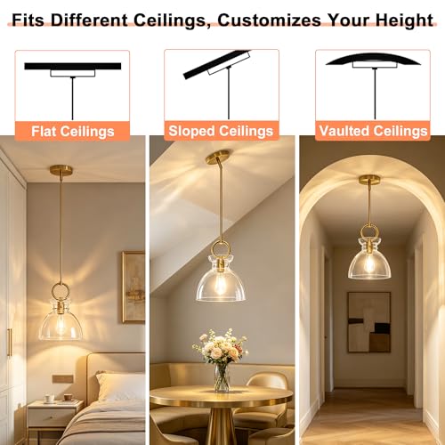 Gold Pendant Lights Kitchen Island with 9.84'' Clear Glass Shade (2 Count)