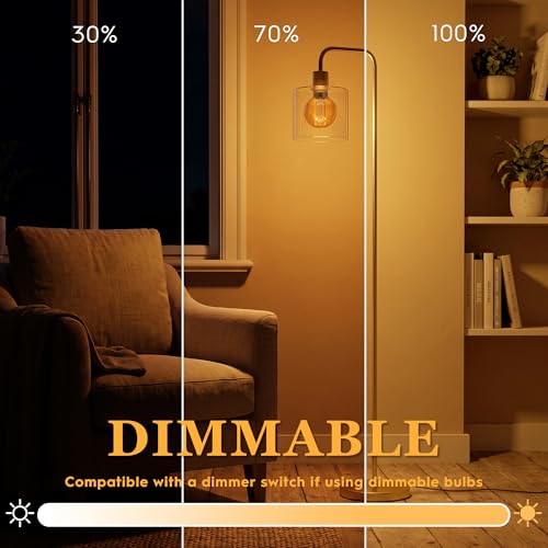 Dimmable Edison Bulb E26 Vintage Round LED Light LowLumen Amber G80