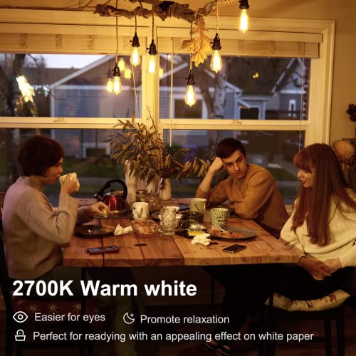 LED Edison Light Bulbs (6 Count)