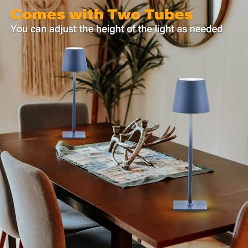 2 Pack Cordless Table Lamps (2 Count)