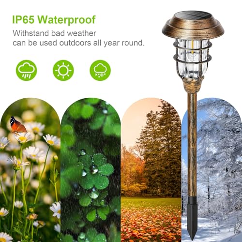Solar Outdoor Lights (12 Count)