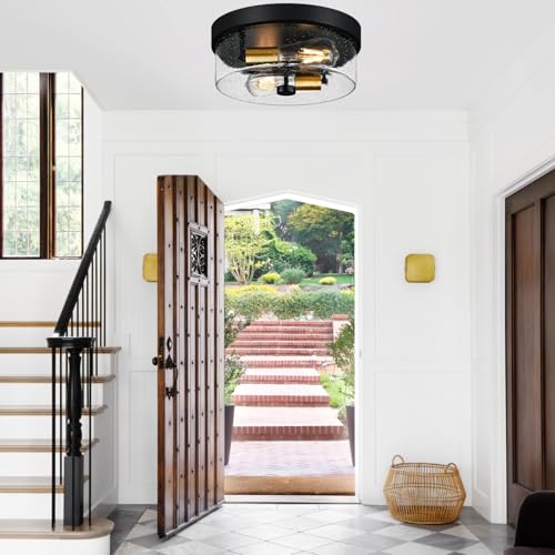 Flush Mount Ceiling Light Fixtures