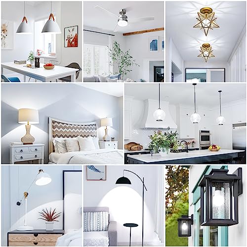 A19 LED Light Bulbs (30 Count)