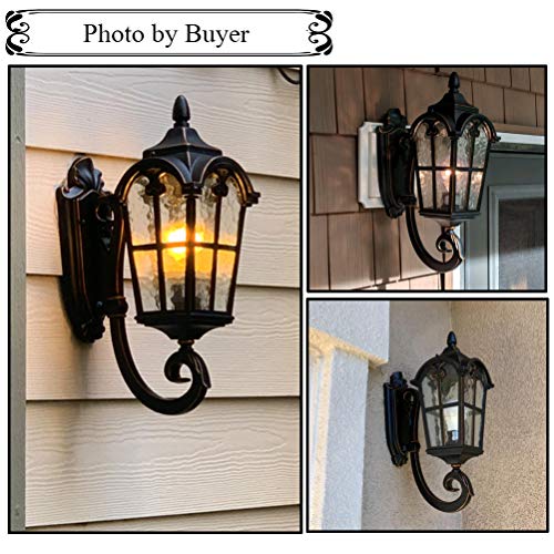 17.71" Dusk to Dawn Sensor Black Outdoor Wall Light Fixture