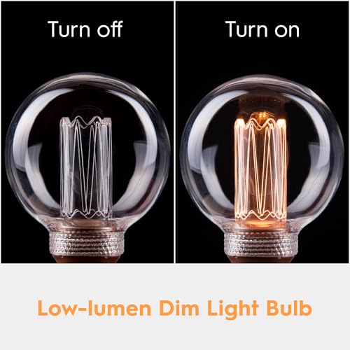 Dimmable Edison Bulb E26 Vintage Round LED Light LowLumen Clear G80