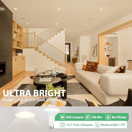 12 Pack BR30 LED Recessed Light Bulb (12 Count)