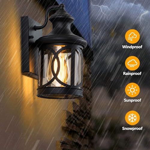 2 Pack Outdoor Wall Lights (2 Count)