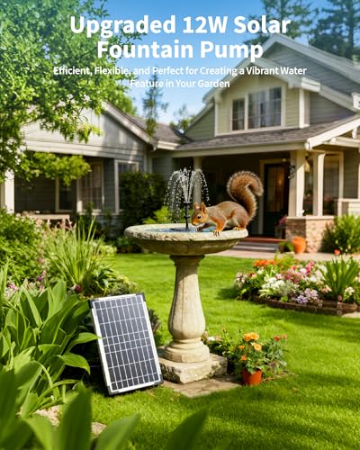 Solar Fountain Pump