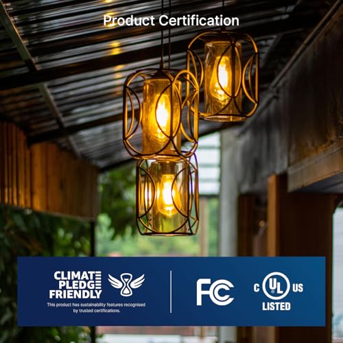 LED Edison Bulbs 100W Equivalent (6 Count)