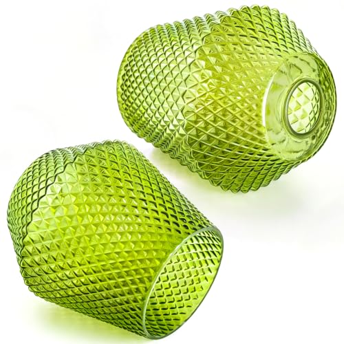 2Pcs Small Glass Lamp Shades (2 Count)