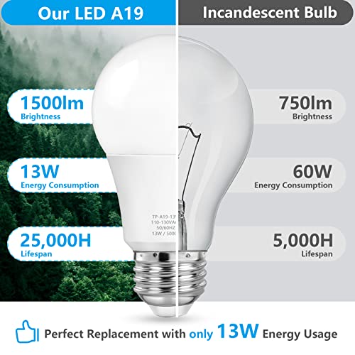 A19 LED Light Bulbs (20 Count)