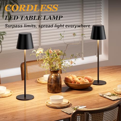 20" Black Cordless Table Lamp Rechargeable