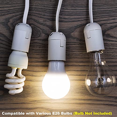 Plug in Hanging Light Kit (2 Count)