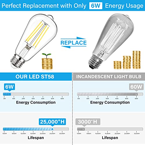 Dimmable Vintage LED Edison Bulbs 60W Equivalent 6W 850 Lumens (12 Count)