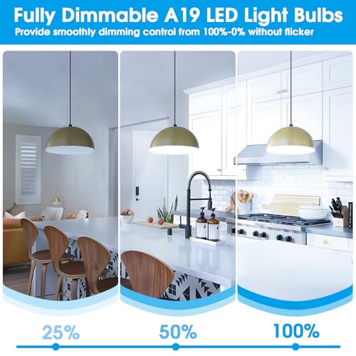A19 LED Light Bulb (12 Count)