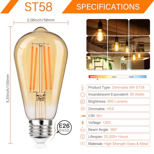 Dimmable Vintage LED Edison Bulbs 60W Equivalent 6W 850 Lumens (12 Count)
