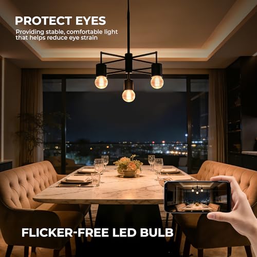 E26 G16.5 Edison LED Globe Bulb (12 Count)