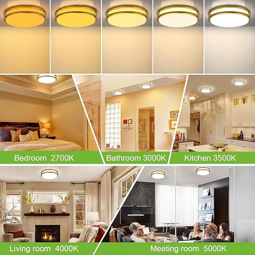 10 inch Flush Mount LED Ceiling Light Fixture (2 Count)